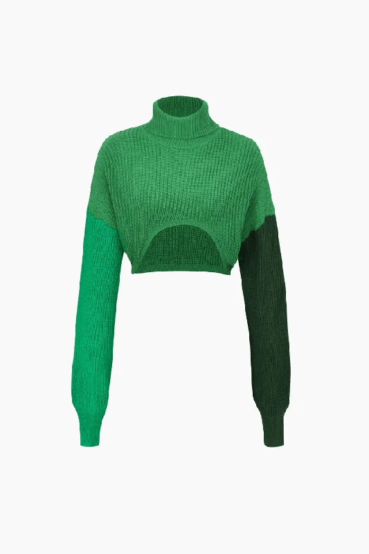 Turtleneck Curved Hem Crop Sweater Solid Color Striped Floral Print