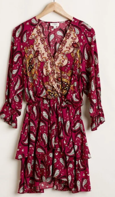 Paisley Passion Dress A-Line Day Work
